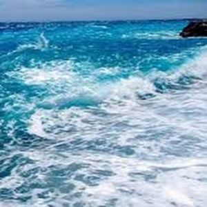 Meet your Posher, Abbygail